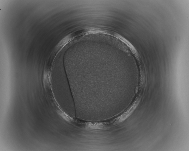 X0000116870809200912221404