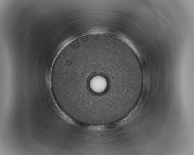 X0000116870810200912221404