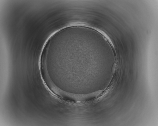 X0000116870815200912221404