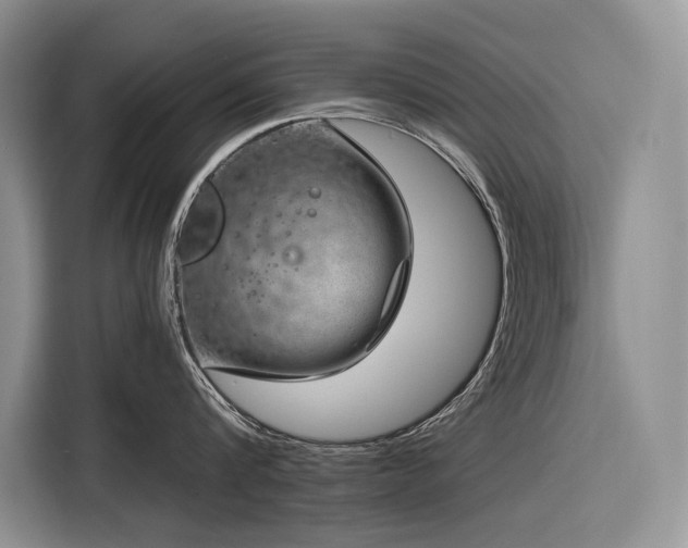 X0000116870816200912221404