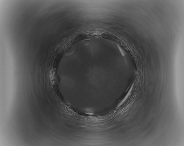 X0000116870818200912221404