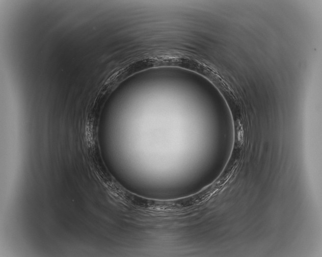X0000116870819200912221404