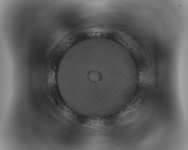 X0000116870820200912221404