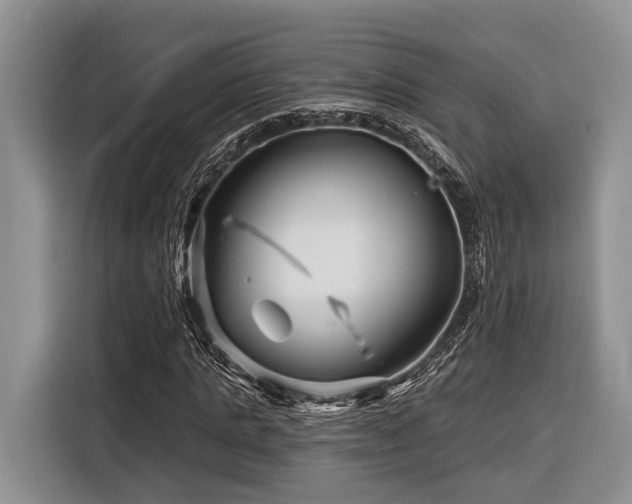 X0000116870821200912221404