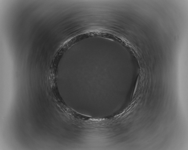 X0000116870822200912221404