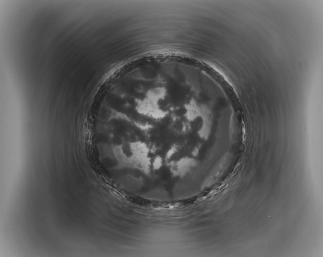 X0000116870823200912221404