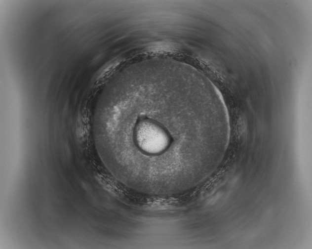 X0000116870824200912221404