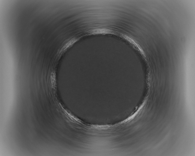 X0000116870825200912221404