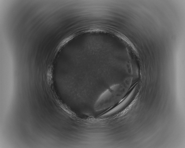 X0000116870826200912221404
