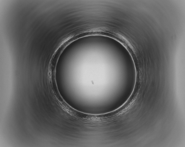 X0000116870827200912221404
