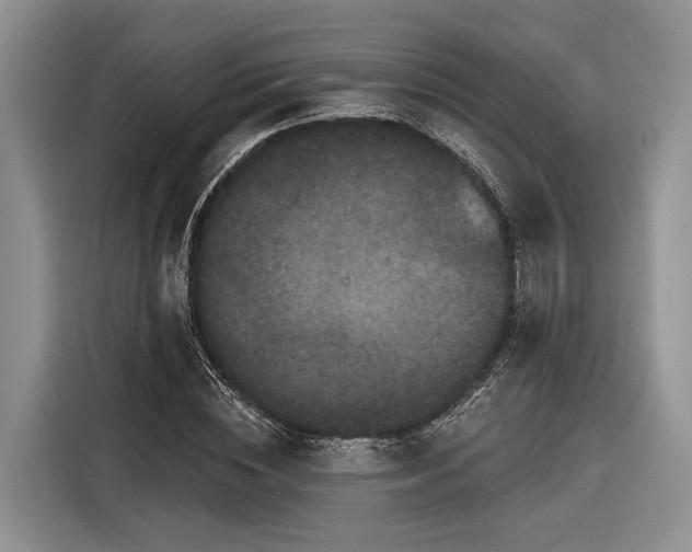 X0000116870828200912221404