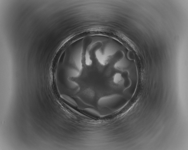 X0000116870829200912221404