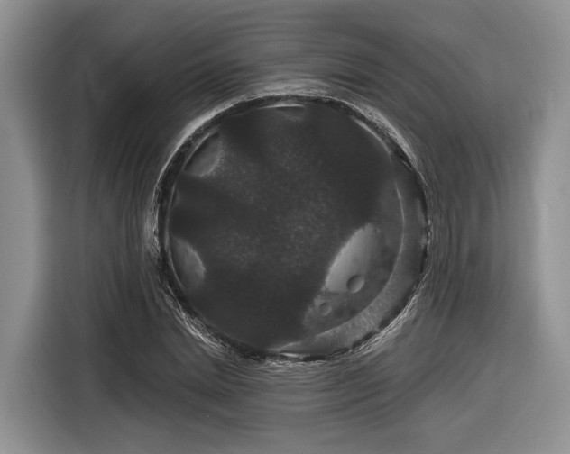 X0000116870830200912221404