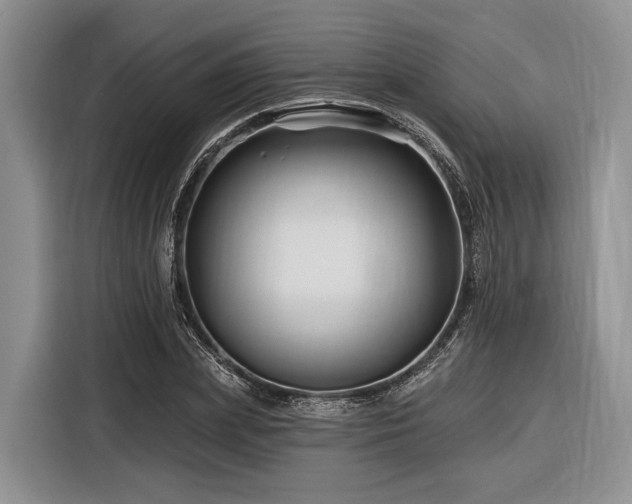 X0000116870831200912221404