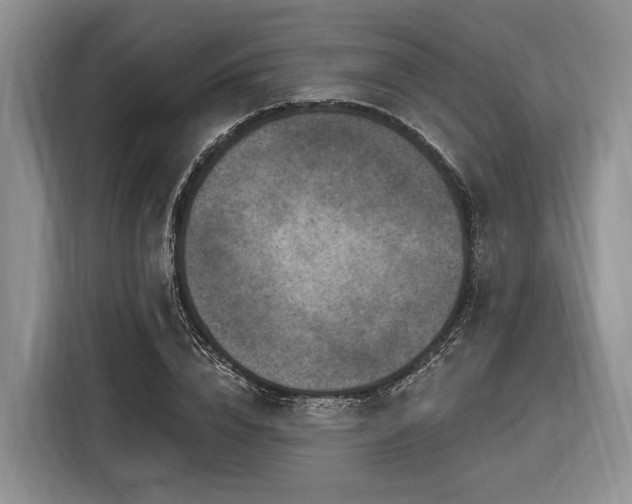 X0000116870832200912221404