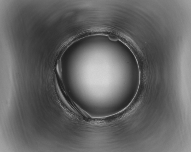 X0000116870833200912221404