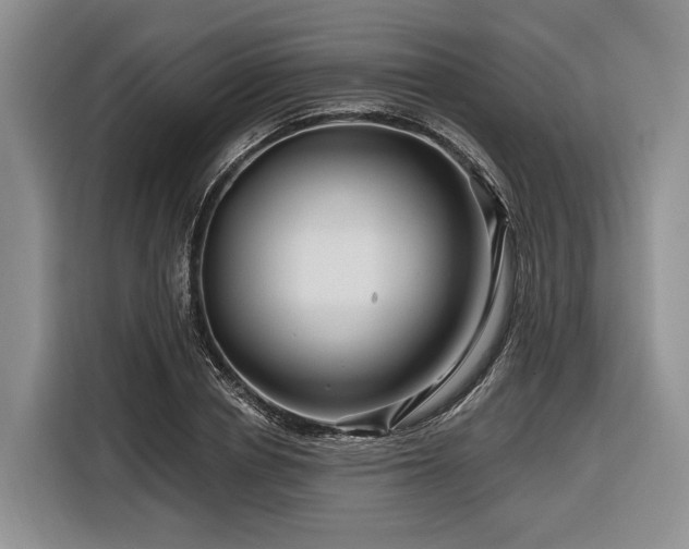 X0000116870834200912221404