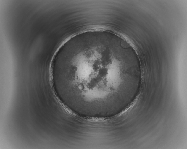 X0000116870835200912221404