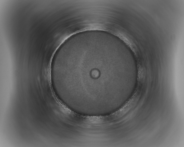 X0000116870836200912221404