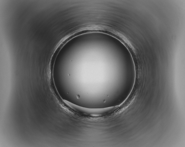 X0000116870837200912221404