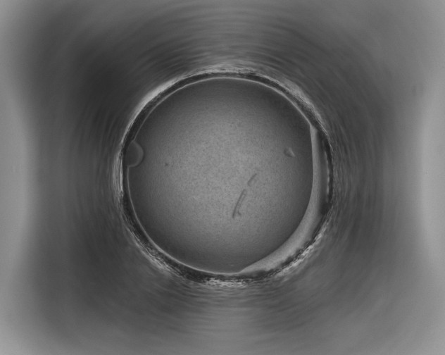 X0000116870838200912221404