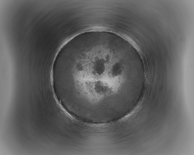 X0000116870839200912221404