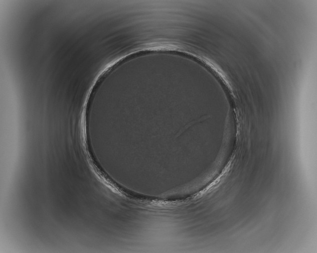 X0000116870840200912221404