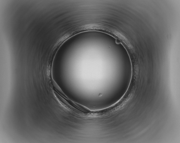 X0000116870841200912221404