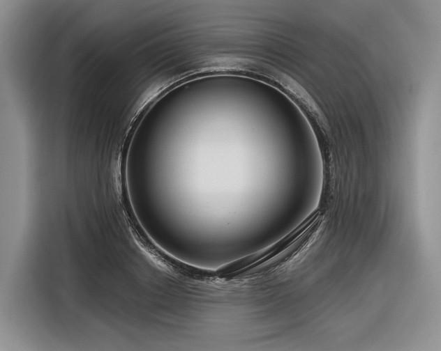 X0000116870842200912221404