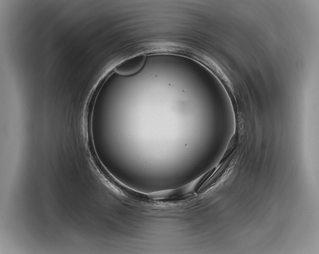 X0000116870843200912221404