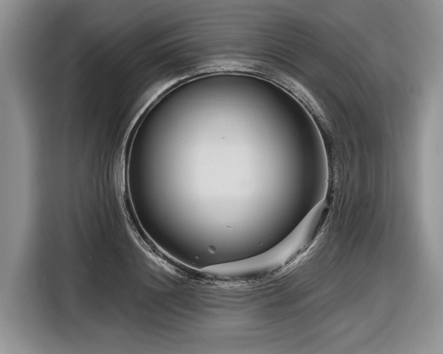 X0000116870844200912221404