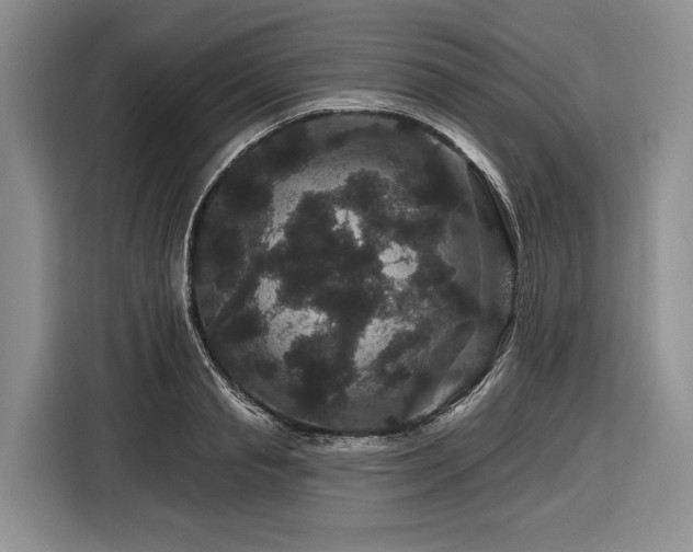 X0000116870845200912221404