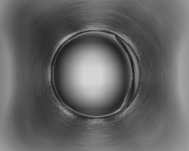 X0000116870846200912221404