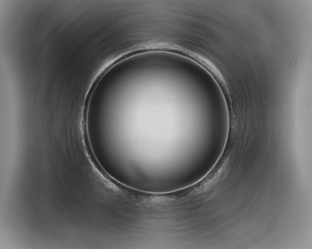 X0000116870847200912221404