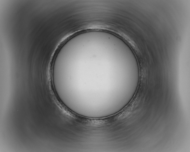 X0000116870848200912221404