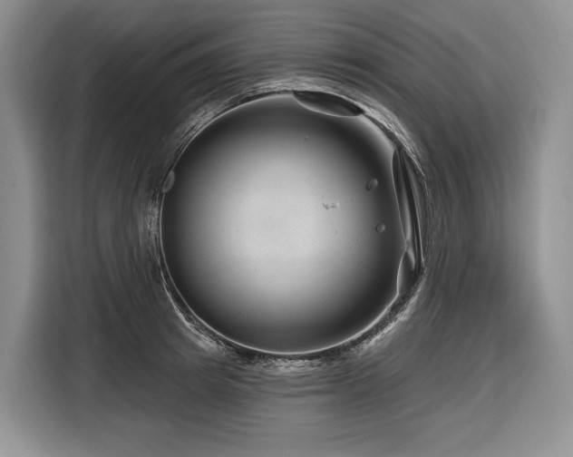 X0000116870849200912221404