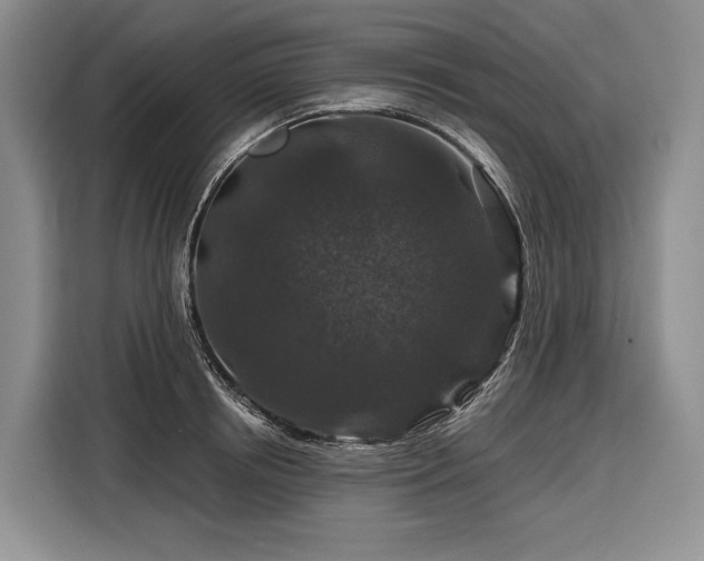 X0000116870850200912221404