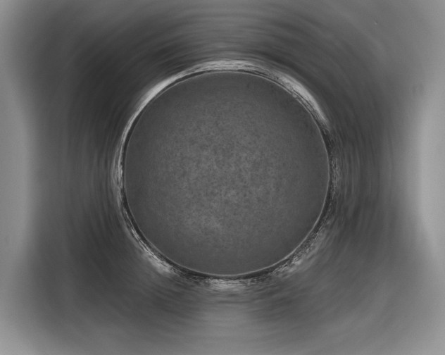 X0000116870852200912221404