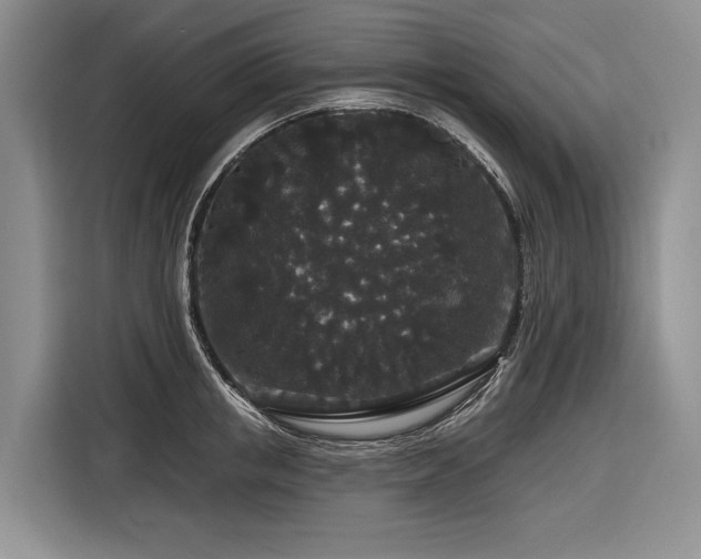 X0000116870853200912221404