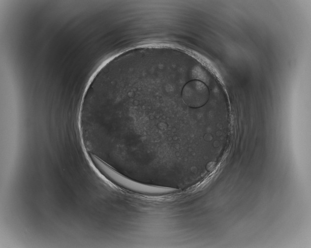 X0000116870855200912221404