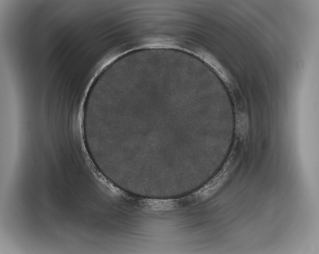 X0000116870856200912221404