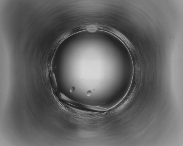 X0000116870857200912221404