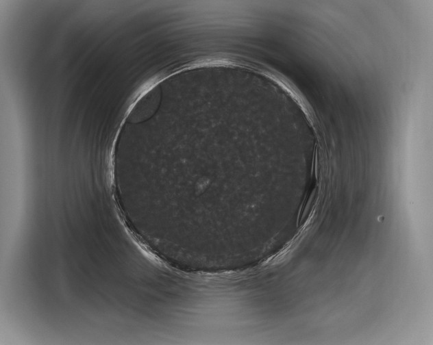 X0000116870858200912221404