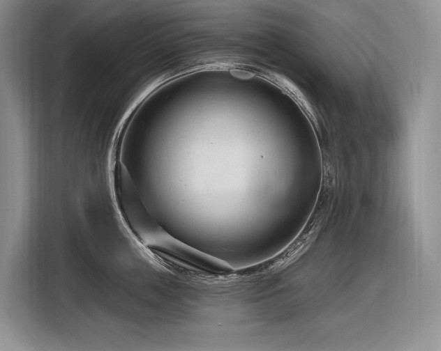 X0000116870859200912221404