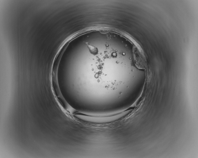 X0000116870861200912221404