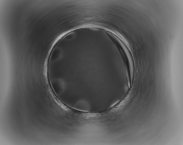 X0000116870862200912221404