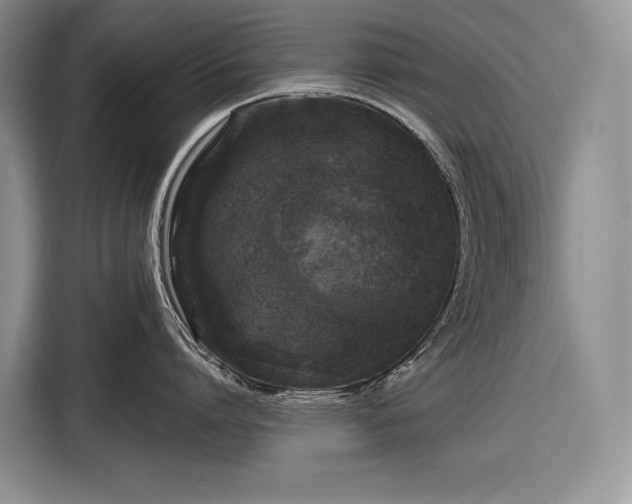 X0000116870864200912221404
