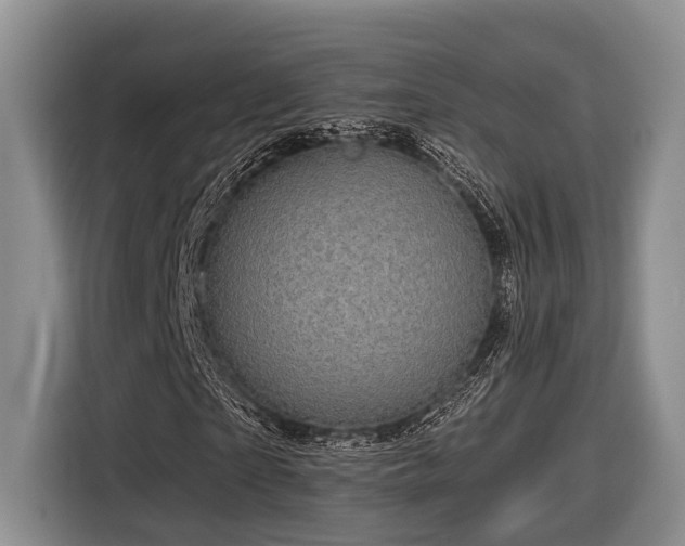 X0000116870865200912221404