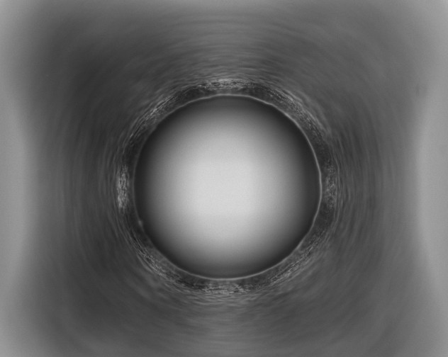 X0000116870866200912221404