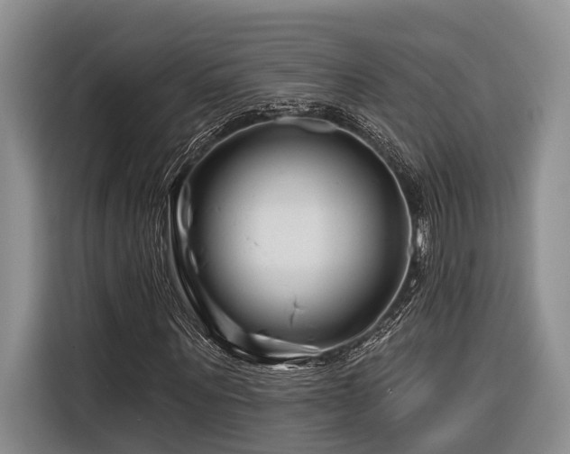 X0000116870867200912221404
